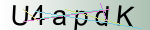 Captcha anti-spam