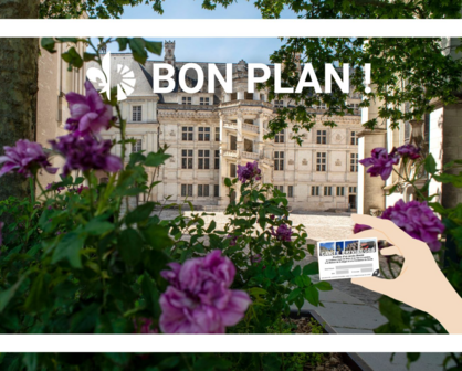 Carte Privilèges du château Royal de Blois