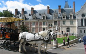Visites Ville / Calèches